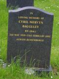 image of grave number 919935
